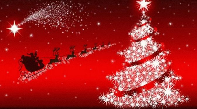 Buon Natale a tutti voi dalla Pallamano Spallanzani Casalgrande!!!